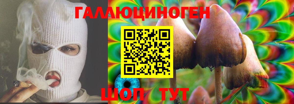 Псилоцибиновые грибы MAGIC MUSHROOMS Ишим